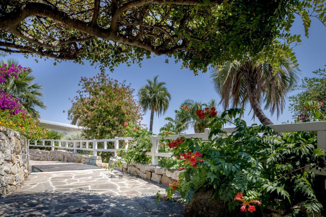 Cruccuris - Adults Only 4*