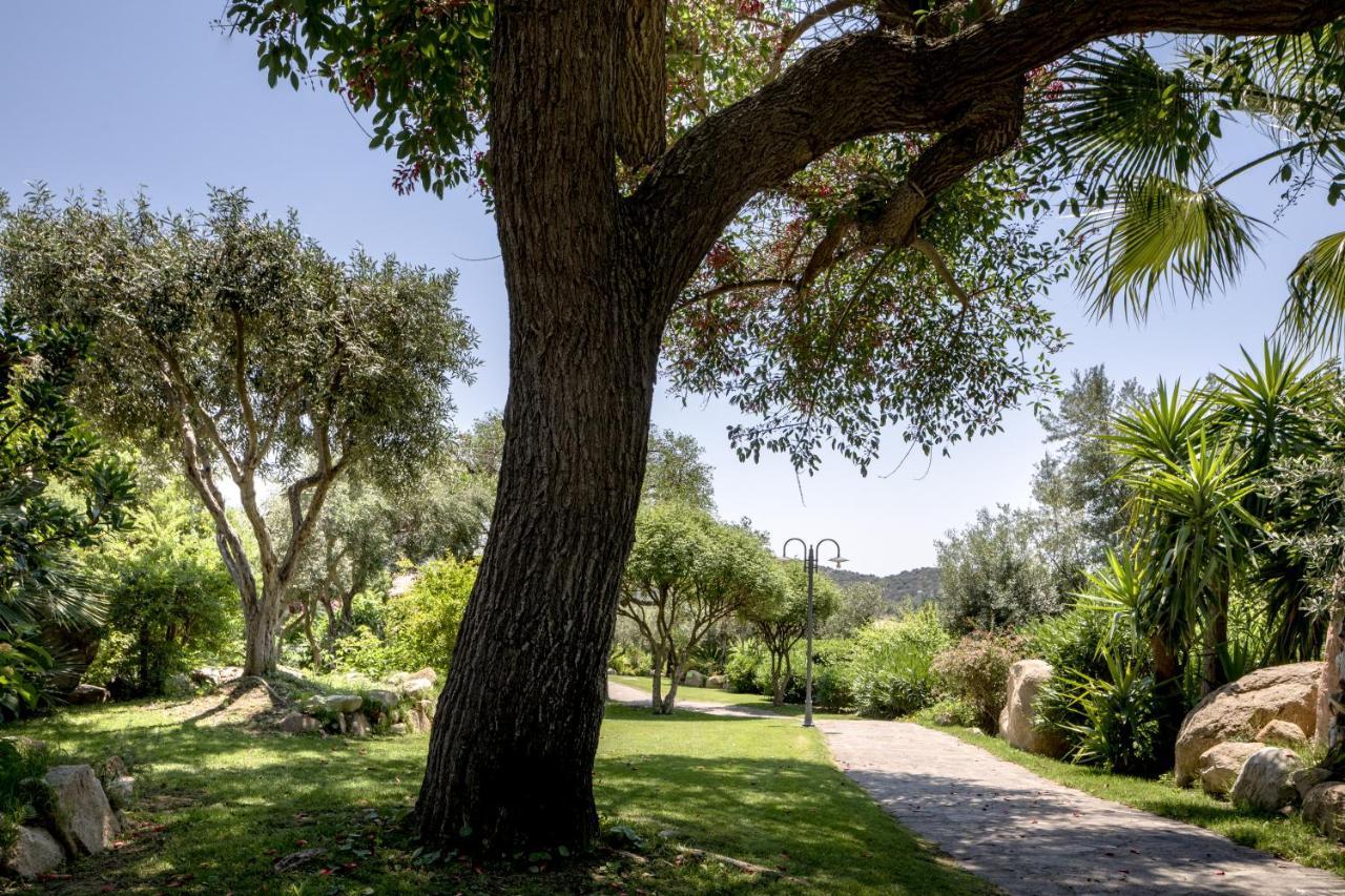 Cruccuris - Adults Only 4* Villasimius